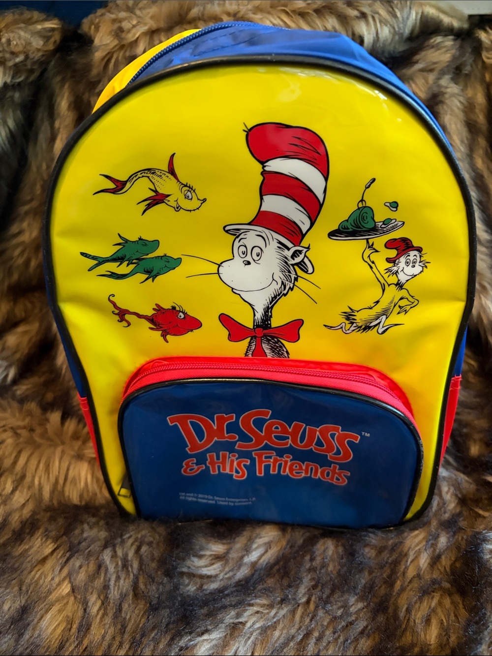 Dr Seuss & His Friend’s Cat And The Hat Kids Backpack 9.5x12